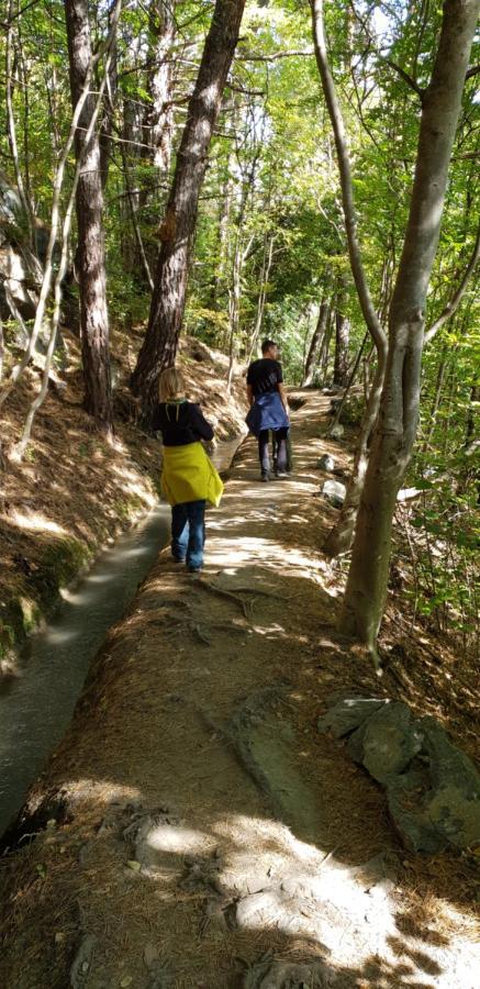コルドラノ Langstein Bio Urlaub & Genussヴィラ エクステリア 写真